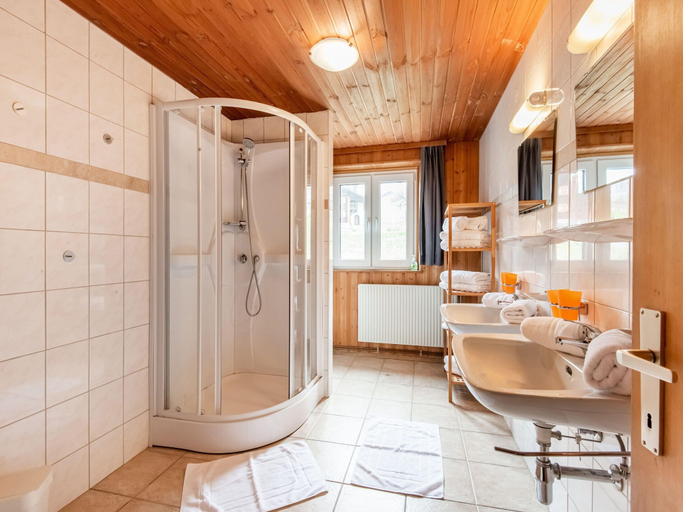 Bathroom 4, Chalet in Montafon near Ski Lifts, Bludenz