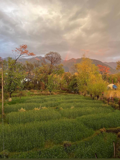 Others 5, Bir Houses, Mandi