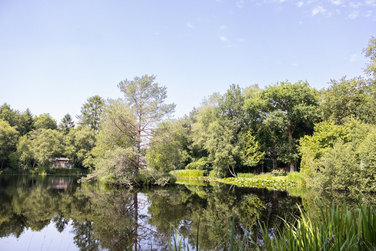 View from property 5, House in the Woods in Drenthe, Noordenveld