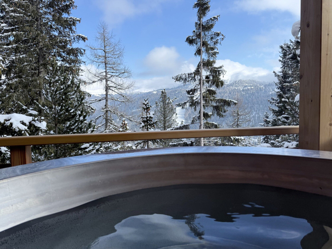 Outdoor spa tub 2, Premium Chalet With Sauna & Hot Tub, Murau