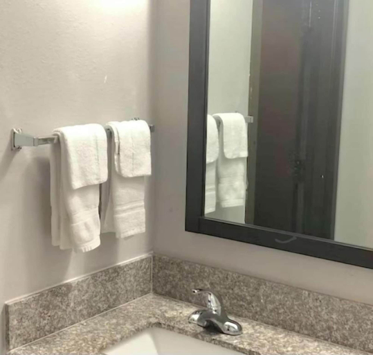 Bathroom 4, Quality Inn Dublin I-81, Pulaski