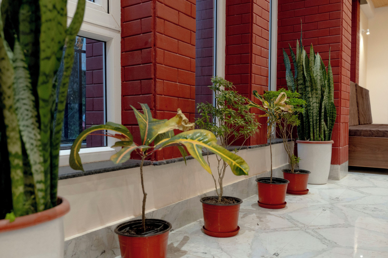 Interior 5, White Yak Resort, Darjiling
