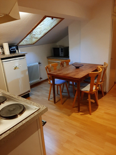 Private kitchen 3, Zentral Gelegene Ferienwohnung mit Garten, Schwarzwald-Baar-Kreis