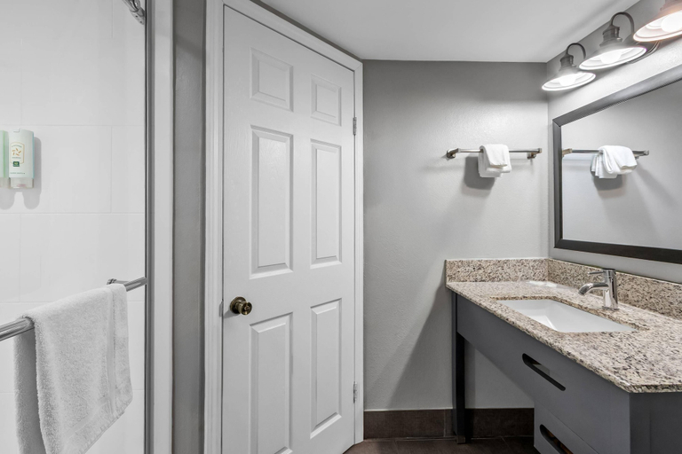 Bathroom 4, Quality Inn Conway Northwest, Horry