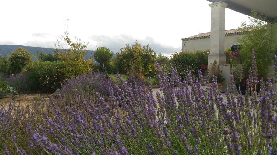 Property grounds 3, gite le Petit Luberon Lisianthus, Vaucluse