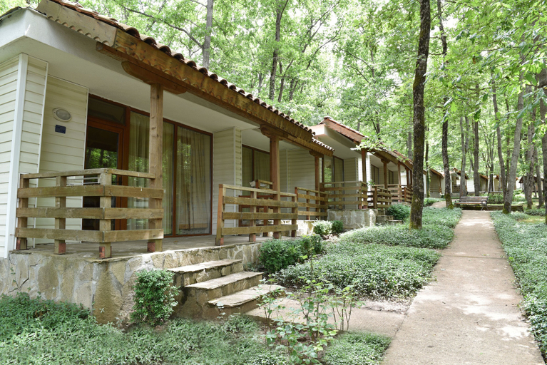 Primary image