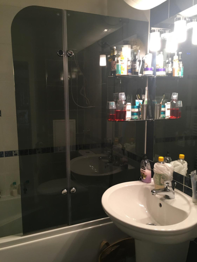 Bathroom 3, Malinova dolina, Stolichna