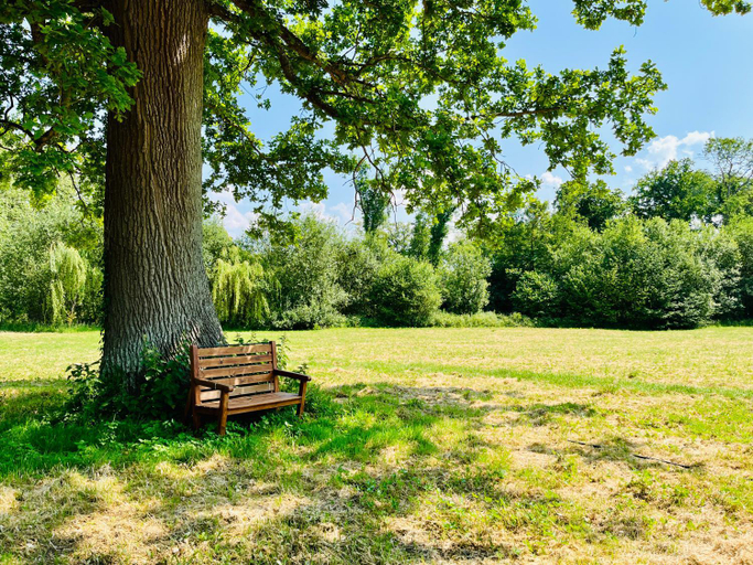 Others 5, Le Manoir de Bois-en-Ardres, Pas-de-Calais