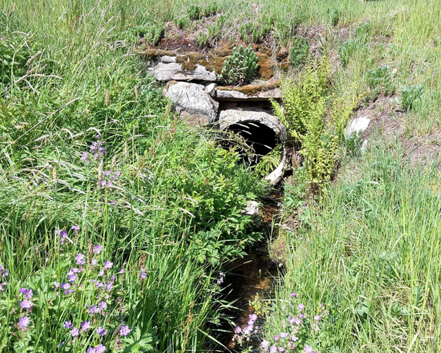 Garden 2, Sugar Farm Weideblick, Schwarzwald-Baar-Kreis