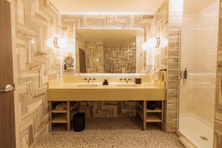 Bathroom 4, Hilton Garden Inn Sioux Falls Downtown, Minnehaha