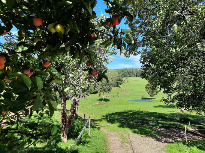 Garden 4, Sugar Farm Weideblick, Schwarzwald-Baar-Kreis