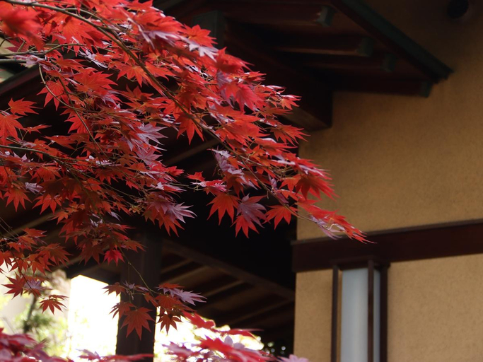 Exterior & Views 1, Ryokan Karasawa, Kanazawa