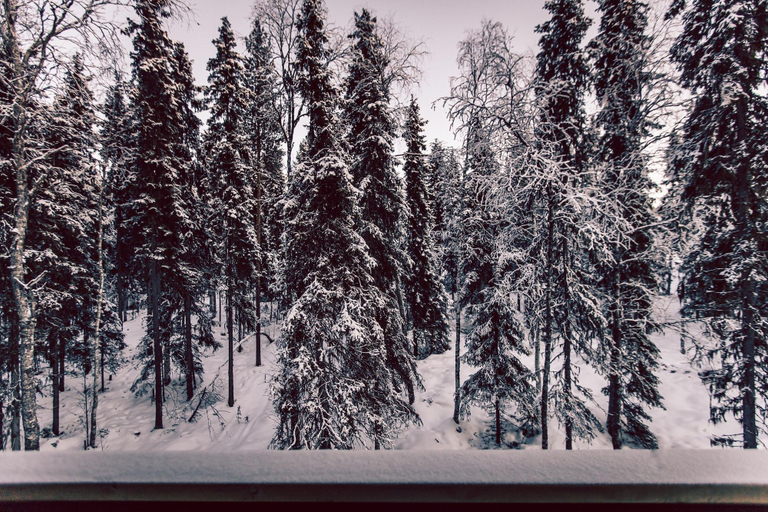 Room 3, Villa Happy Fox, Lapland