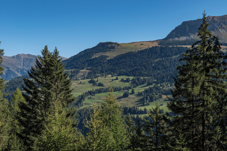 Others 5, Youth Hostel Valbella, Albula