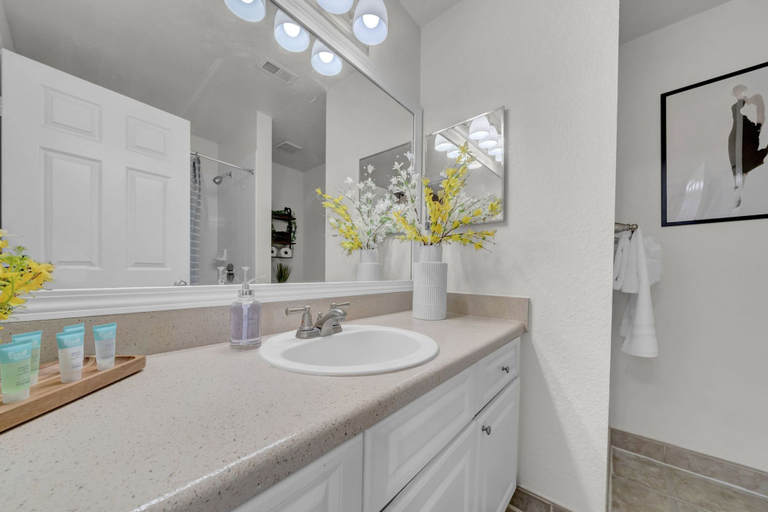 Room 5, Modern 2BR 2BA Pool Gym Near Airport 8, Hillsborough