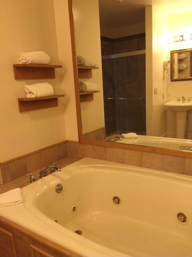 Bathroom 3, The Lincklaen House, Madison