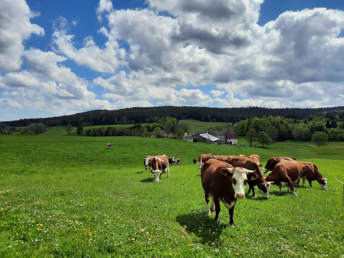 Garden 3, Sugar Farm Weideblick, Schwarzwald-Baar-Kreis