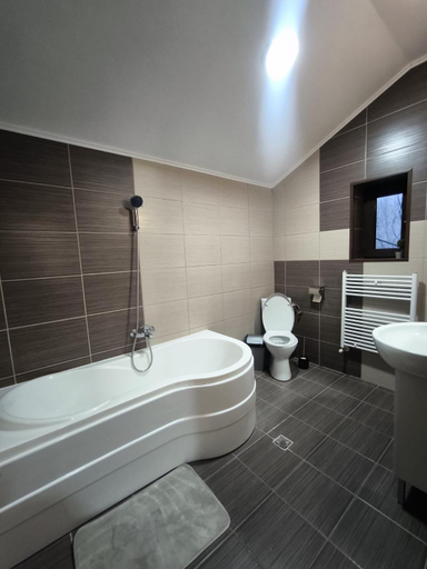 Bathroom 2, Gradina Ascunsa-Breaza, Breaza De Jos