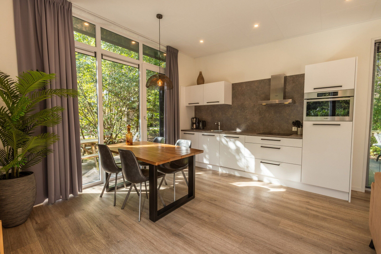 Private kitchen, Drenthe Wellness Lodge for 4, Westerveld