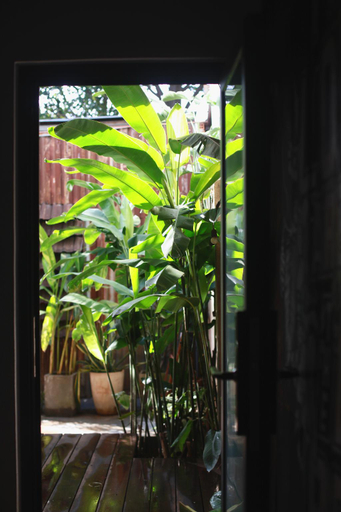 Others 5, Draysap room House Of Lens Buôn Ma Thuột, Buon Ma Thuot