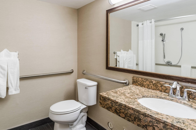 Bathroom 4, Comfort Inn & Suites West Springfield, Hampden