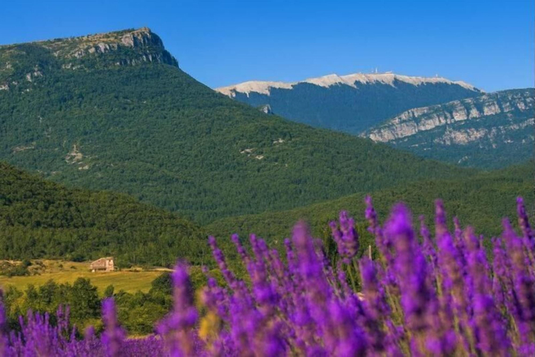 Miscellaneous 2, Résidence Les Mas de Haute-Provence, Alpes-de-Haute-Provence