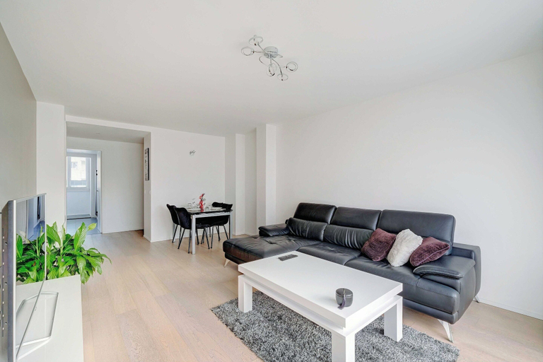 Living area 3, Spacious Apartment- 3br/6p - Charenton, Val-de-Marne