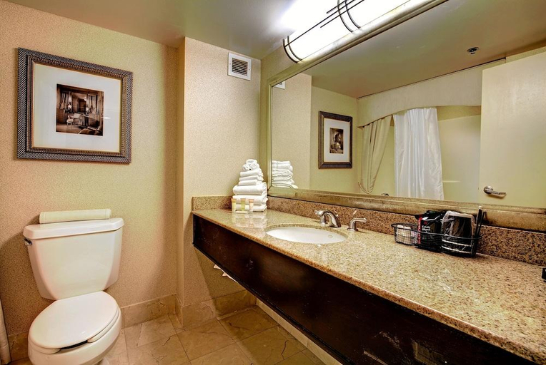 Bathroom 3, Hollywood Casino Tunica, Tunica
