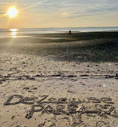 Beach, Stylish Beachside Lodge for 6, Tholen