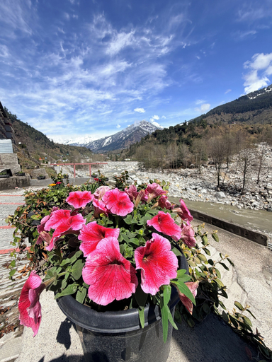 Others 4, Hotel Green Tara, Kullu