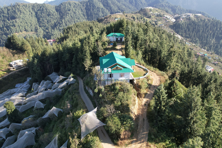 Exterior 2, Forest Rest House Tannu Jubbar, Shimla