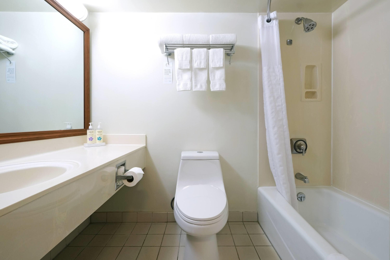 Bathroom 5, Ramada Plaza by Wyndham Waikiki, Honolulu