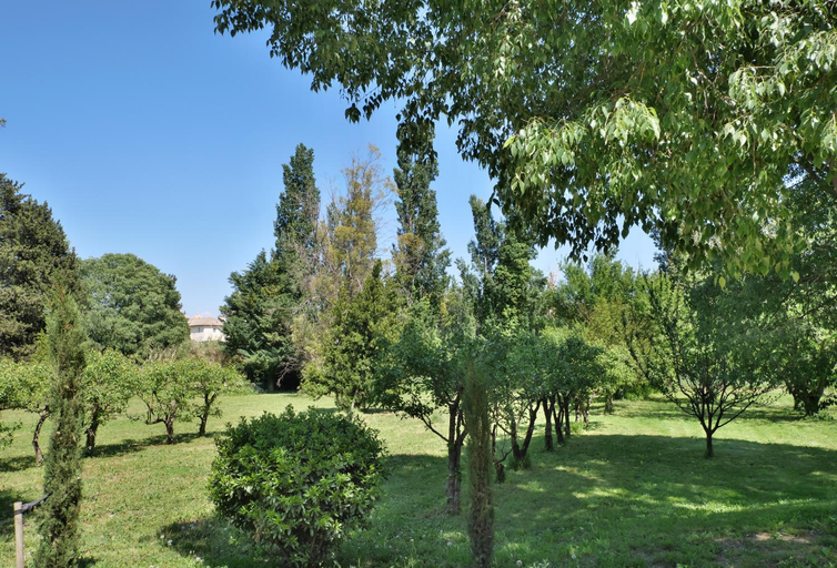 Others 5, Mas Chateau Blanc, Vaucluse