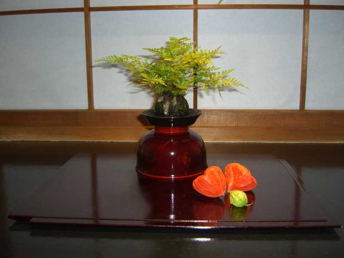 Others, Hotel Kaminarimon, Taitō
