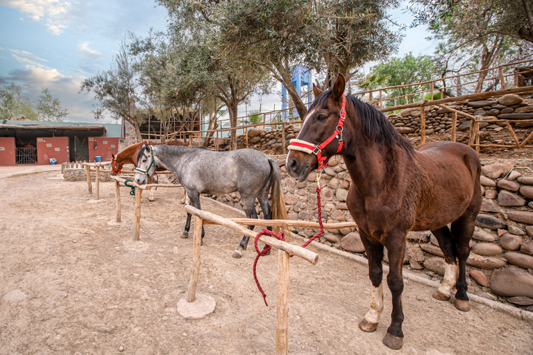 Sports and Entertainment 5, La Fattoria Ecolodge, Al Haouz