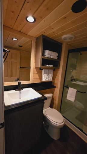Bathroom 4, Luxury Cabin with Mountain View 6A, Coconino