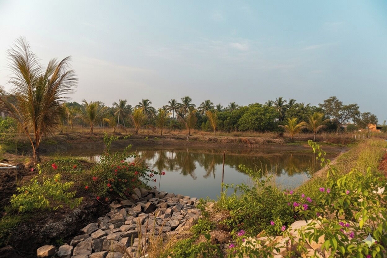 Miscellaneous, Saiprasad Tiger Resorts - Tadoba, Chandrapur