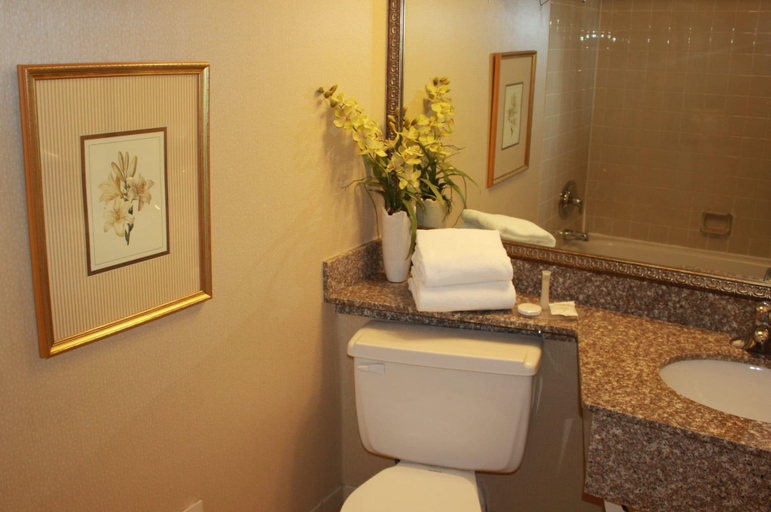 Bathroom, Confederation Place Hotel, Frontenac