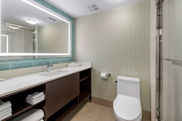 Bathroom 4, Quality Inn Orleans, Ottawa