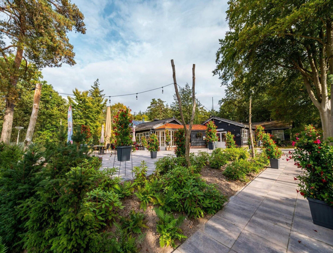 Garden, Drenthe Wellness Lodge for 4, Westerveld