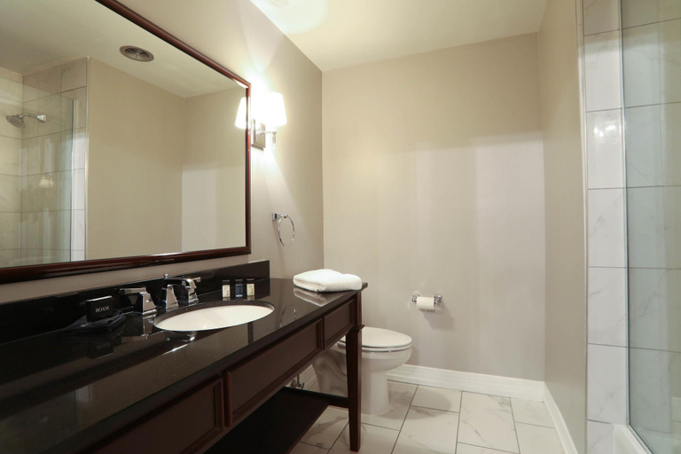 Bathroom 4, Malaga Inn, Mobile