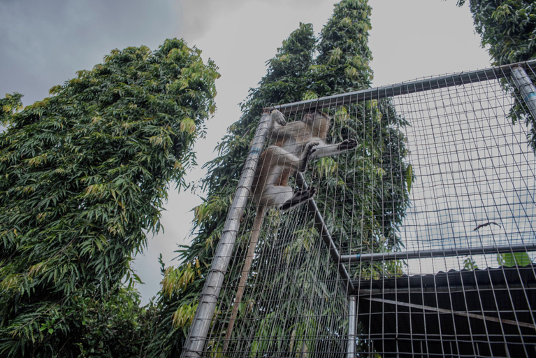 Property grounds 5, Orisun Resort & Gallery, IbadanSouth-West