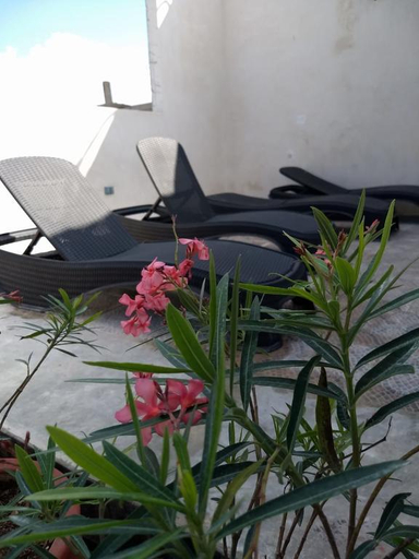 Sport & Beauty 5, MIO Tulum Hotel Boutique, Cozumel