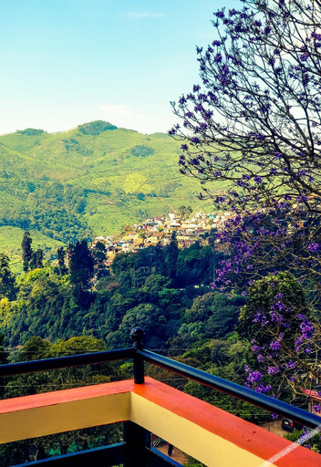 Sport & Beauty, Hidden Heaven, The Nilgiris