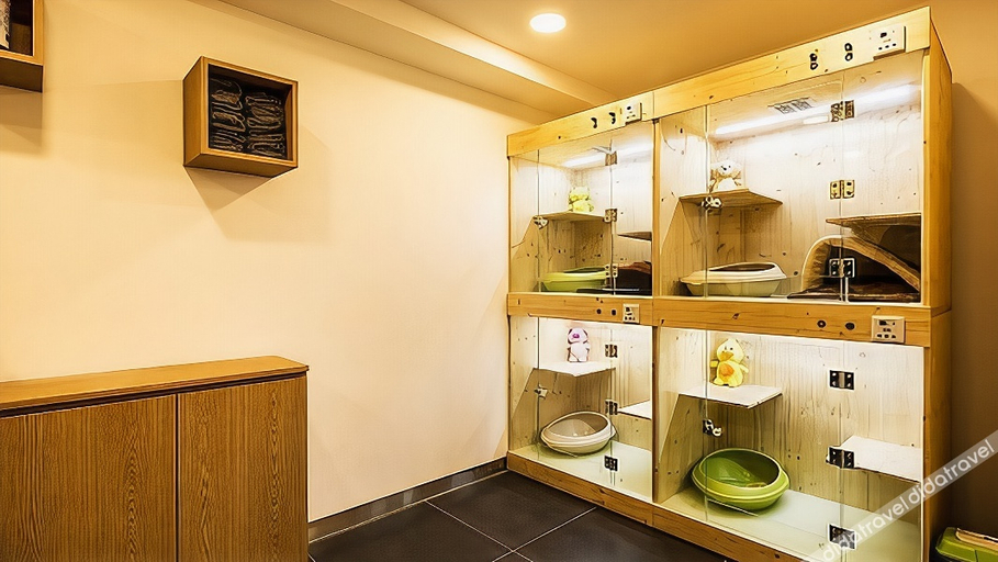 Others 5, The Petel Premium Suite, Haeundae