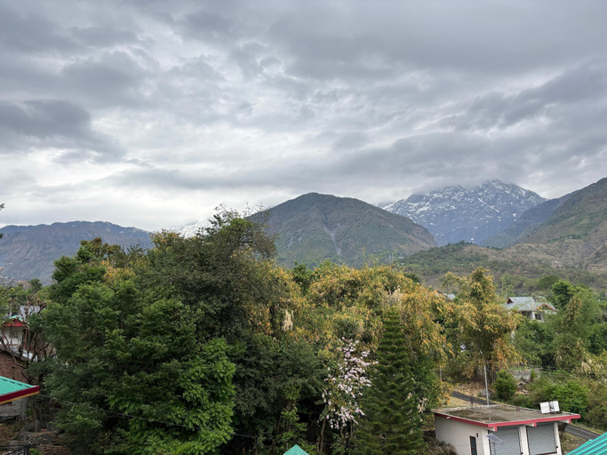 Miscellaneous, AASRA PARADISE HOTEL, Kangra