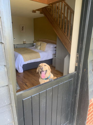 Bedroom 2, The Plough Inn, Kent