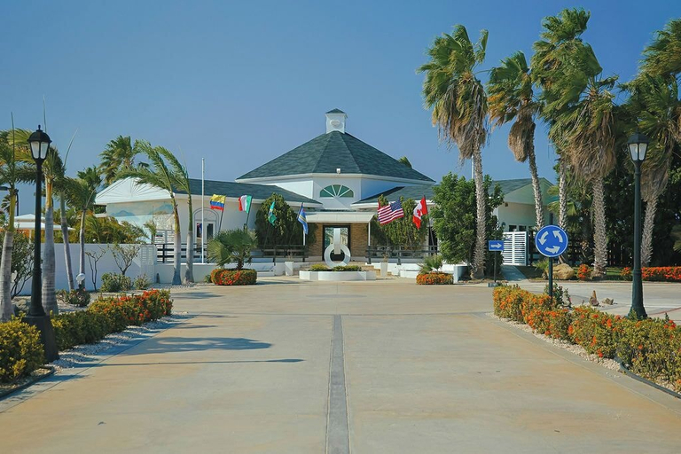 Primary image