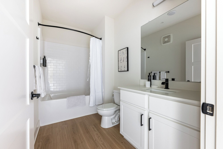Bathroom, Landing Apartments - West Asheville, Buncombe