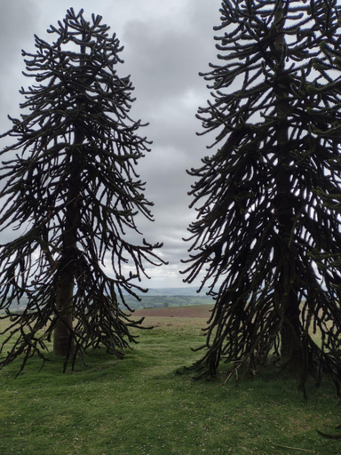 Others 3, Kington Accommodation, Herefordshire